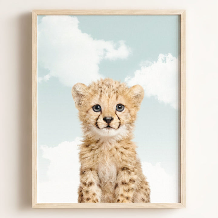 Baby Cheetah