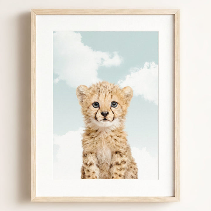 Baby Cheetah