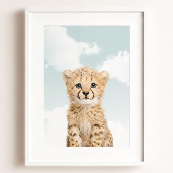 Baby Cheetah