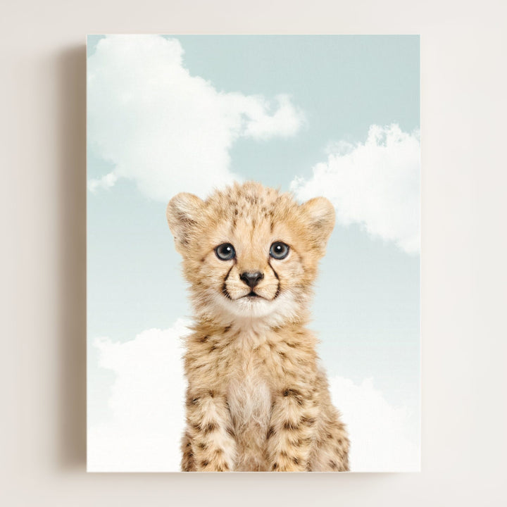 Baby Cheetah