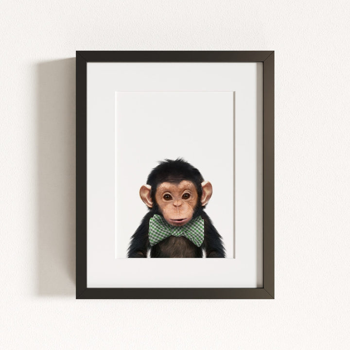 Baby Chimpanzee