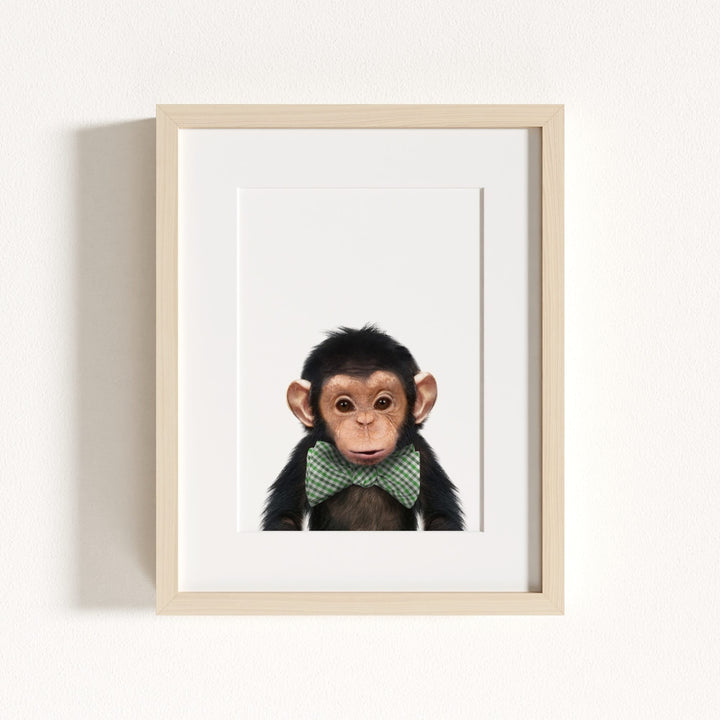 Baby Chimpanzee
