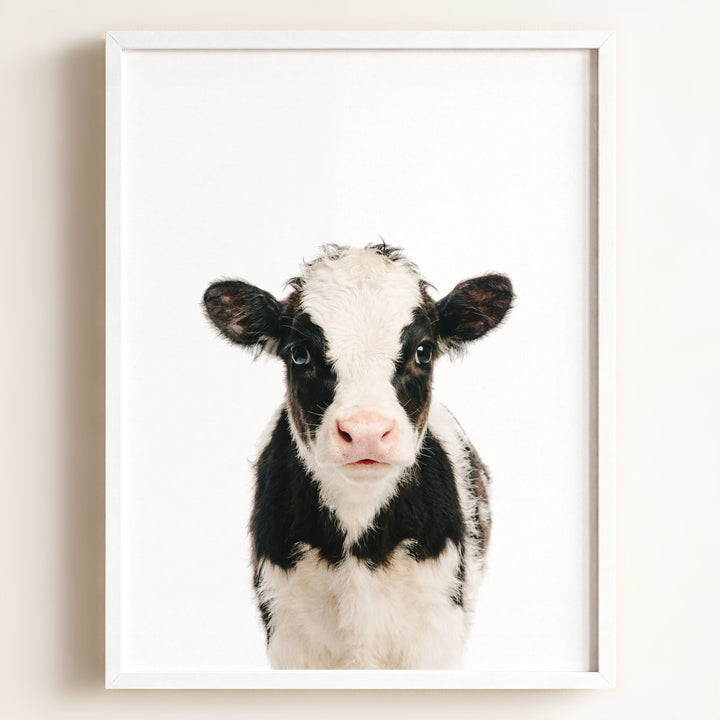Baby Cow