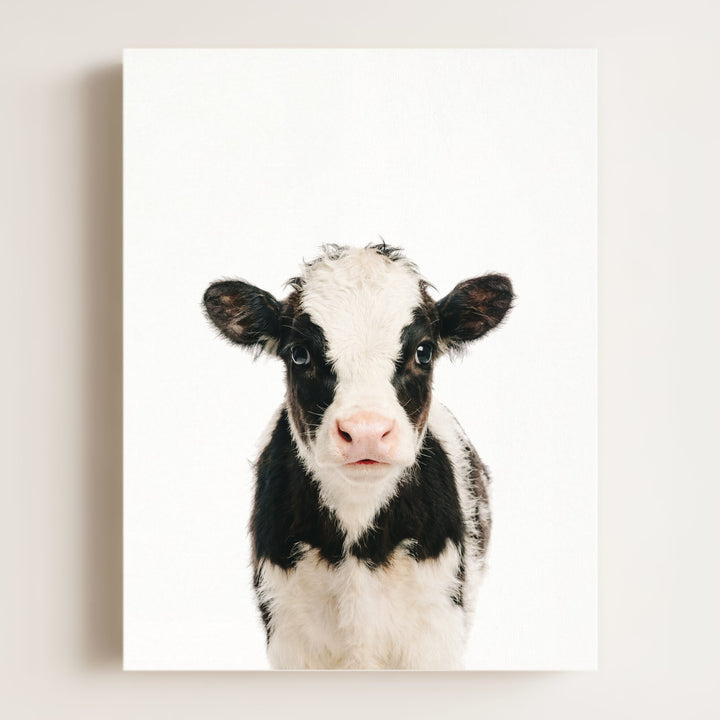 Baby Cow