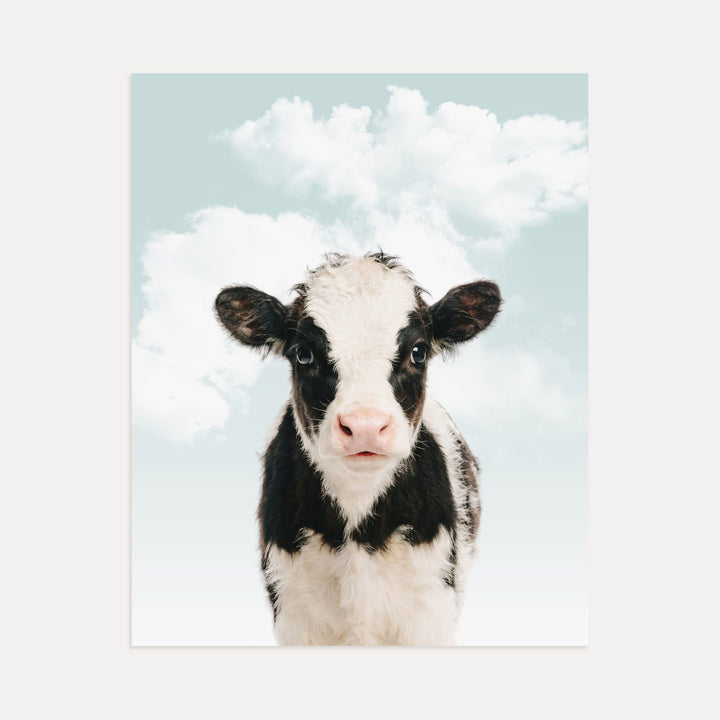 Baby Cow