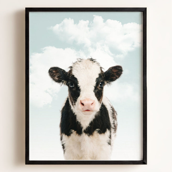 Baby Cow