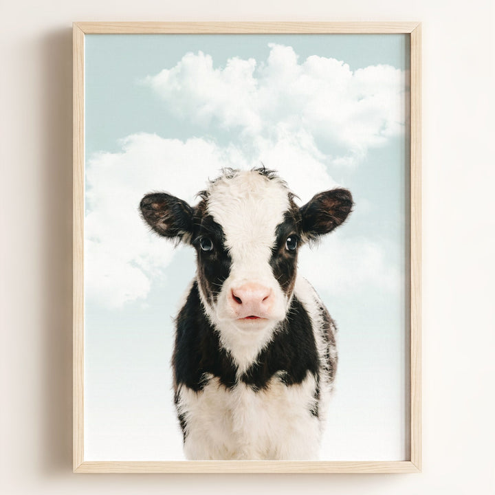 Baby Cow
