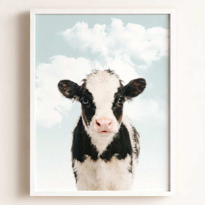 Baby Cow
