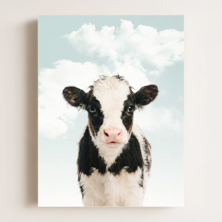 Baby Cow