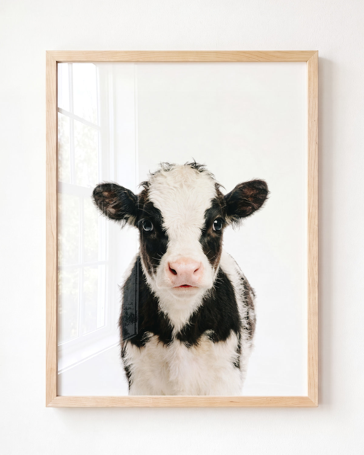 Baby Cow - Framed Art