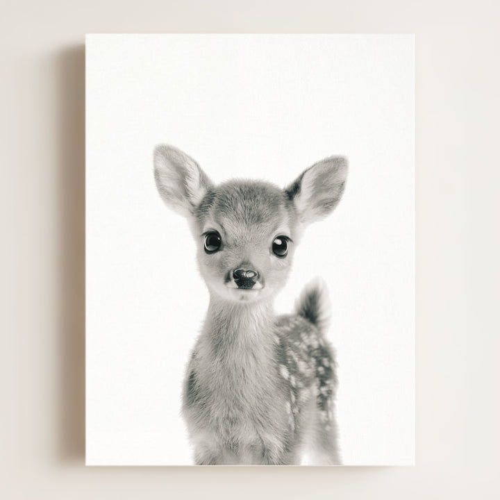 Baby Deer