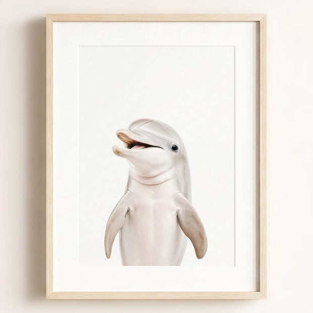 Baby Dolphin