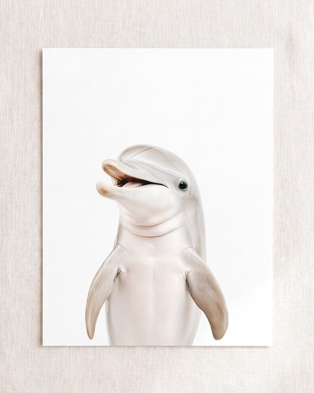 Baby Dolphin