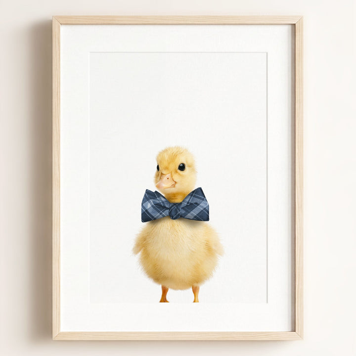 Baby Duckling