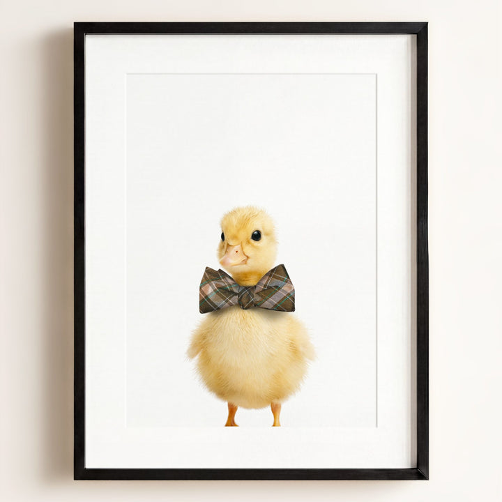 Baby Duckling