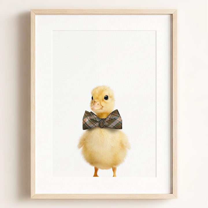 Baby Duckling