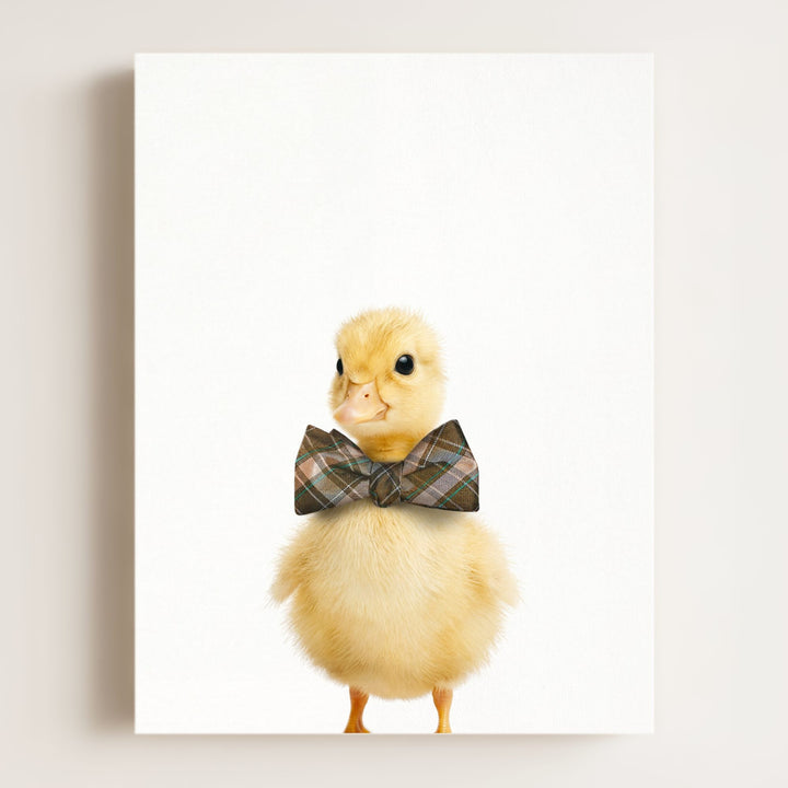 Baby Duckling