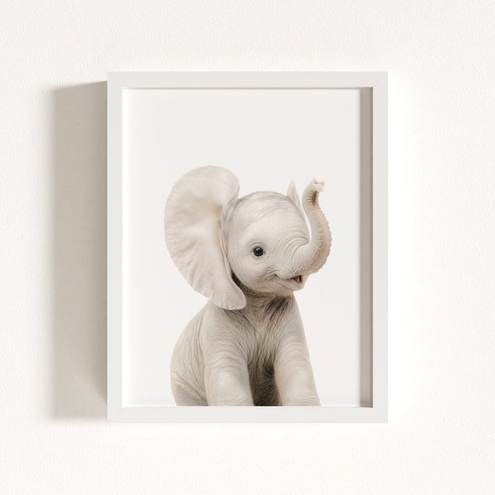 Baby Elephant