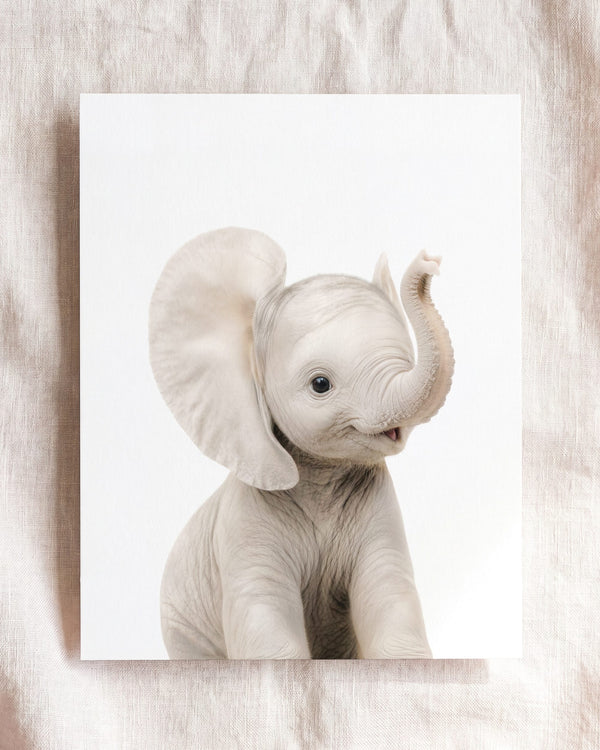 Baby Elephant