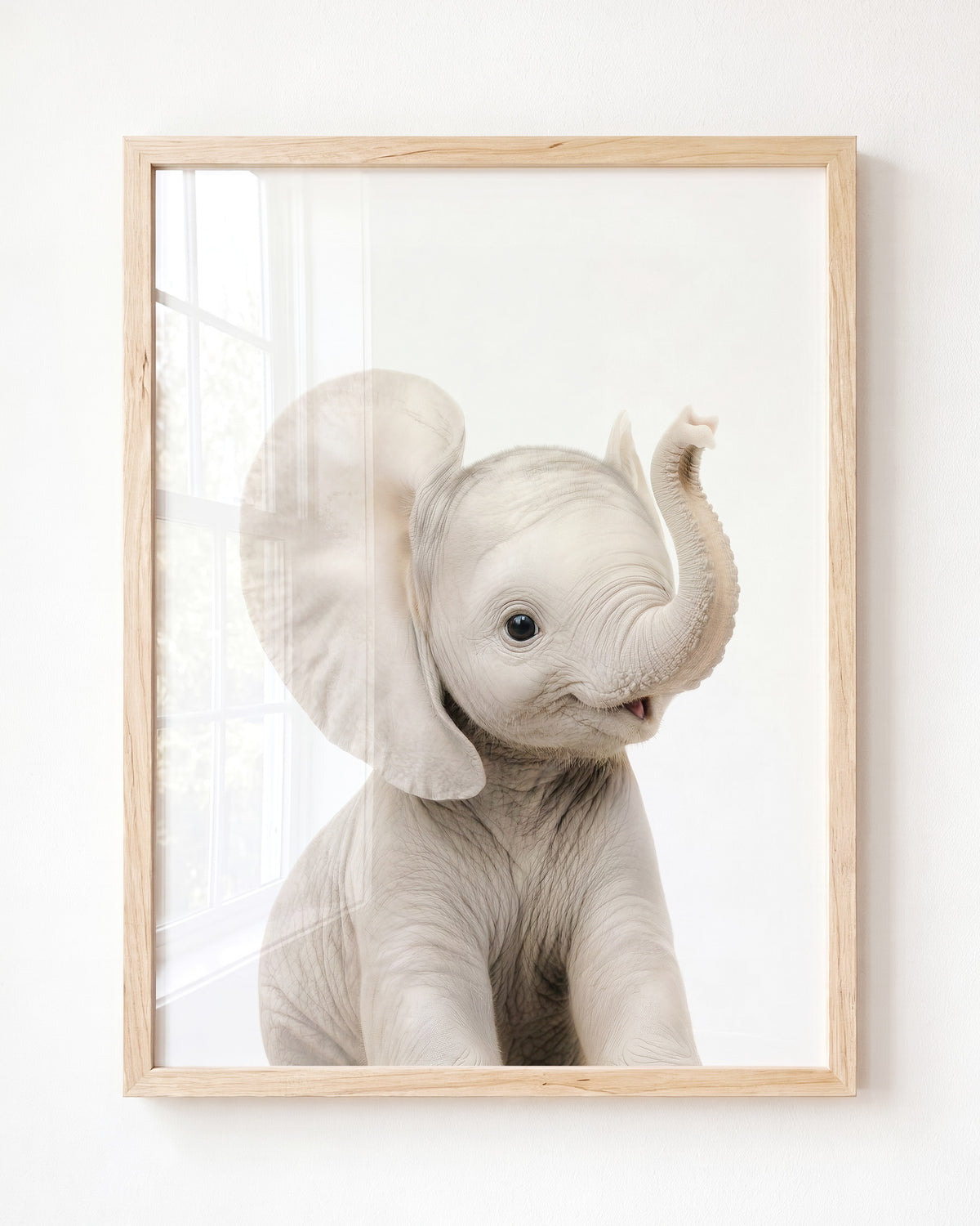 Baby Elephant — Framed