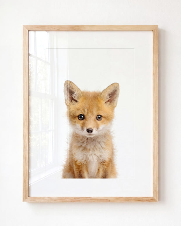 Baby Fox