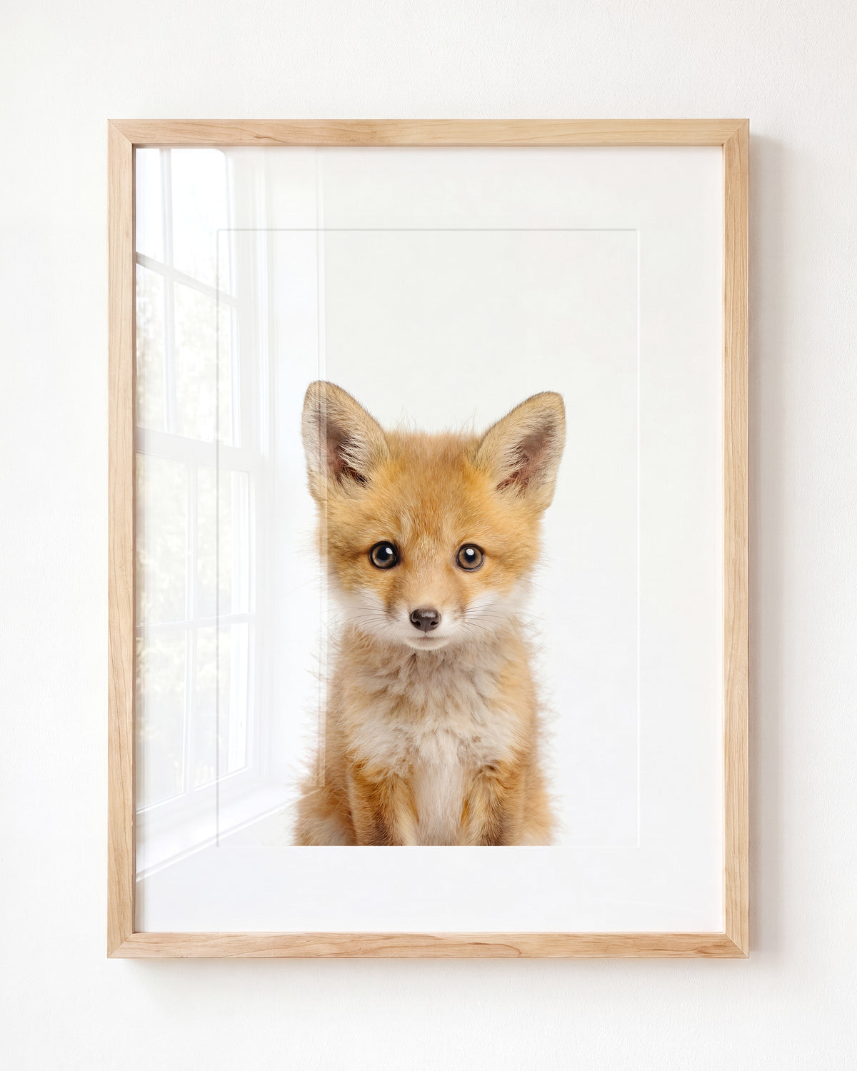 Baby Fox — Framed