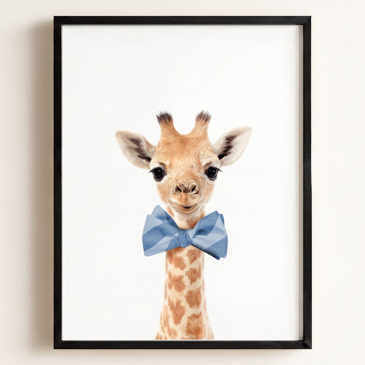 Baby Giraffe