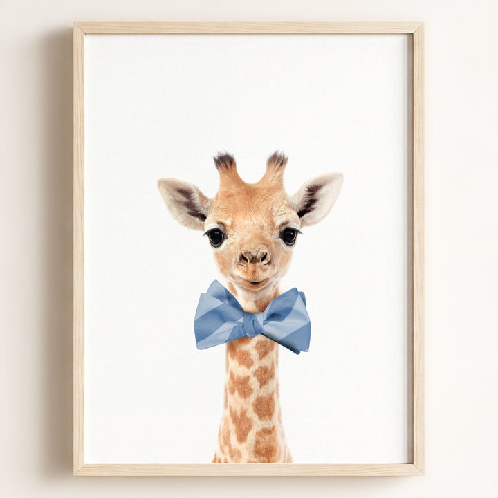 Baby Giraffe