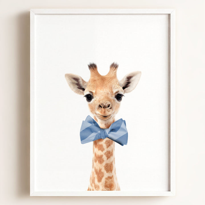 Baby Giraffe