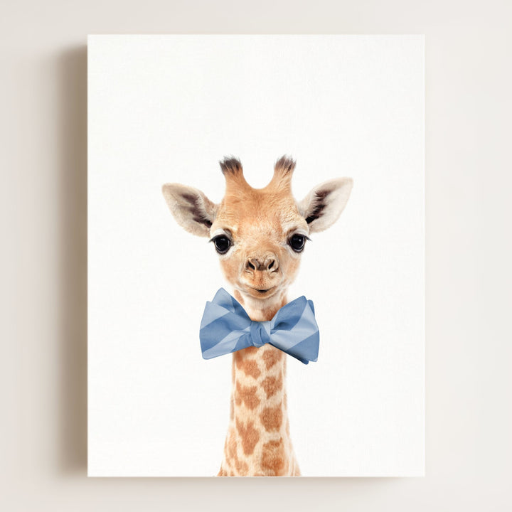 Baby Giraffe