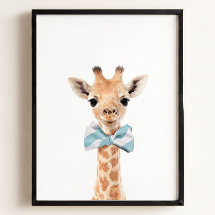 Baby Giraffe