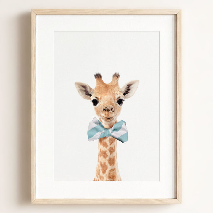 Baby Giraffe