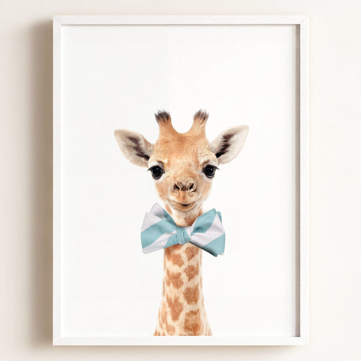Baby Giraffe