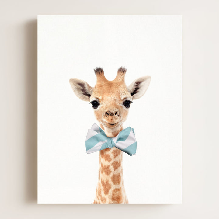 Baby Giraffe