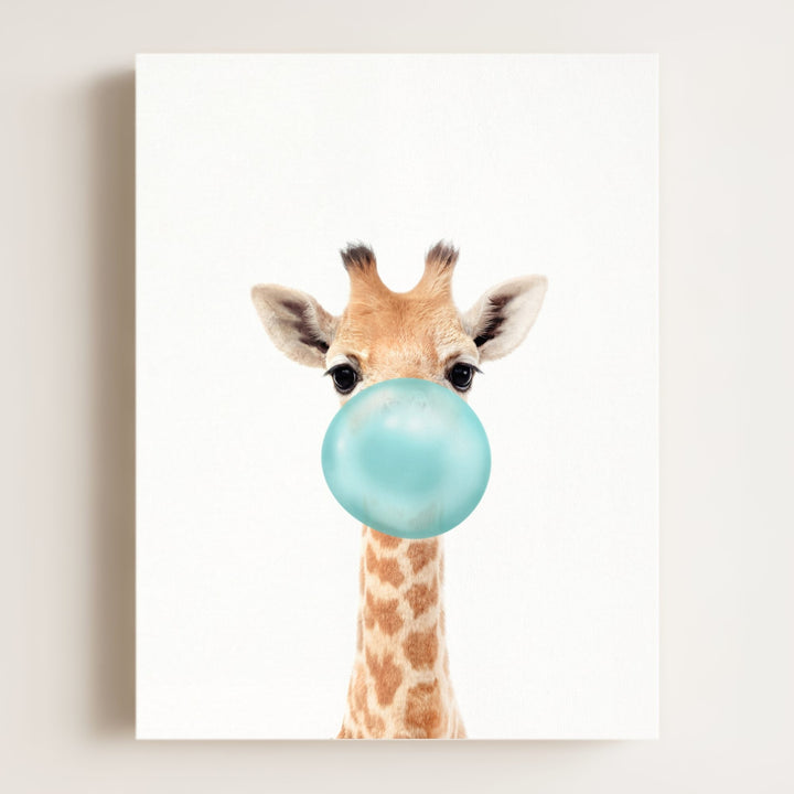 Baby Giraffe