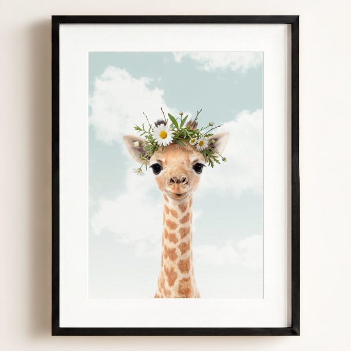 Baby Giraffe