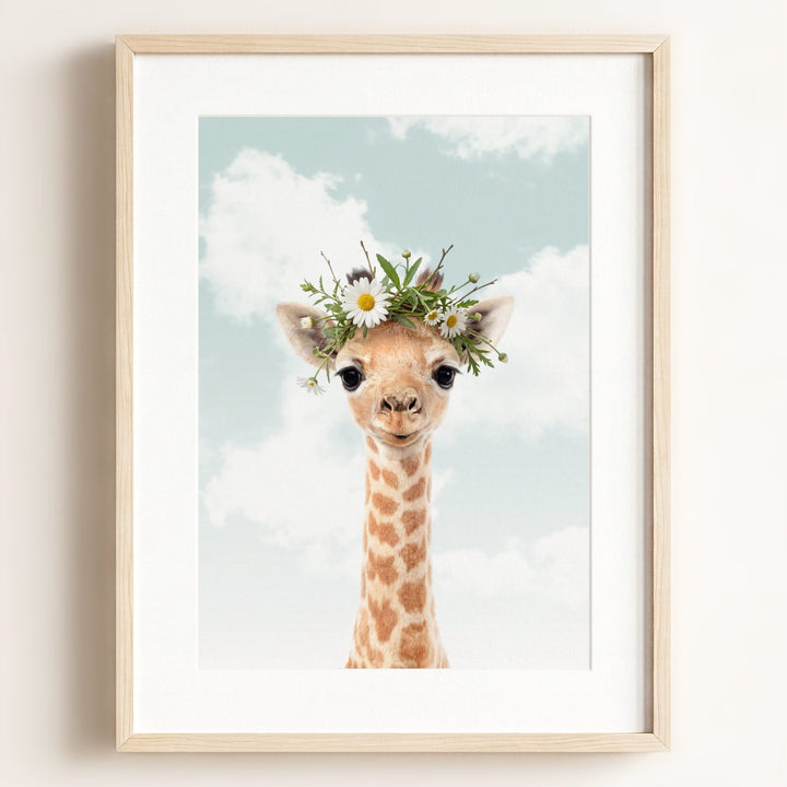 Baby Giraffe