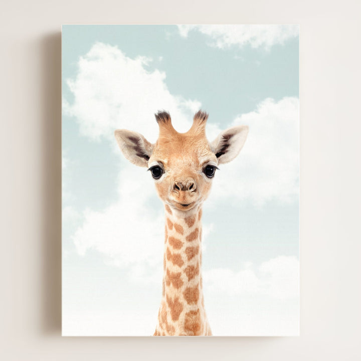 Baby Giraffe