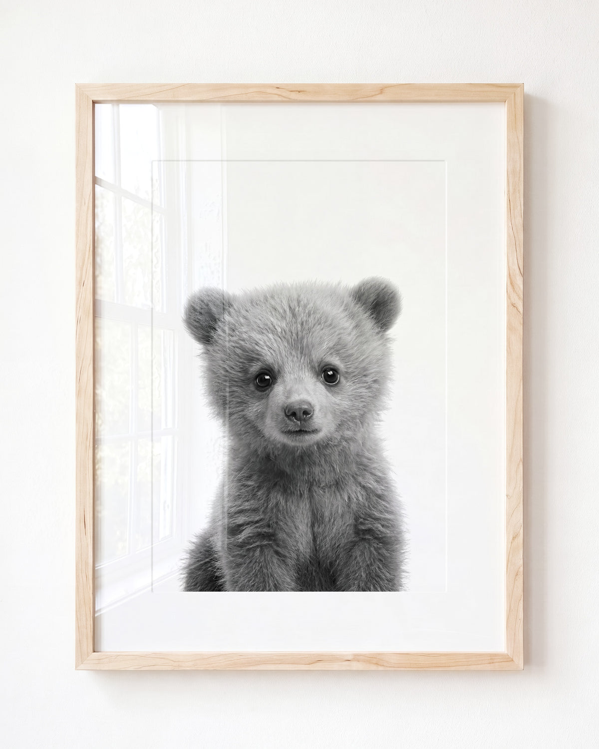 Baby Grizzly Bear — Framed Art