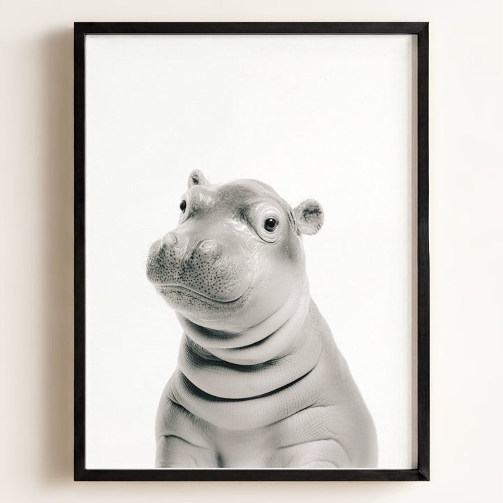 Baby Hippo