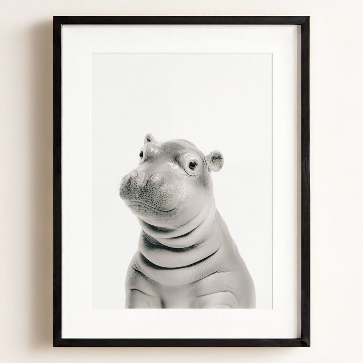 Baby Hippo