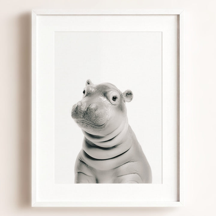 Baby Hippo