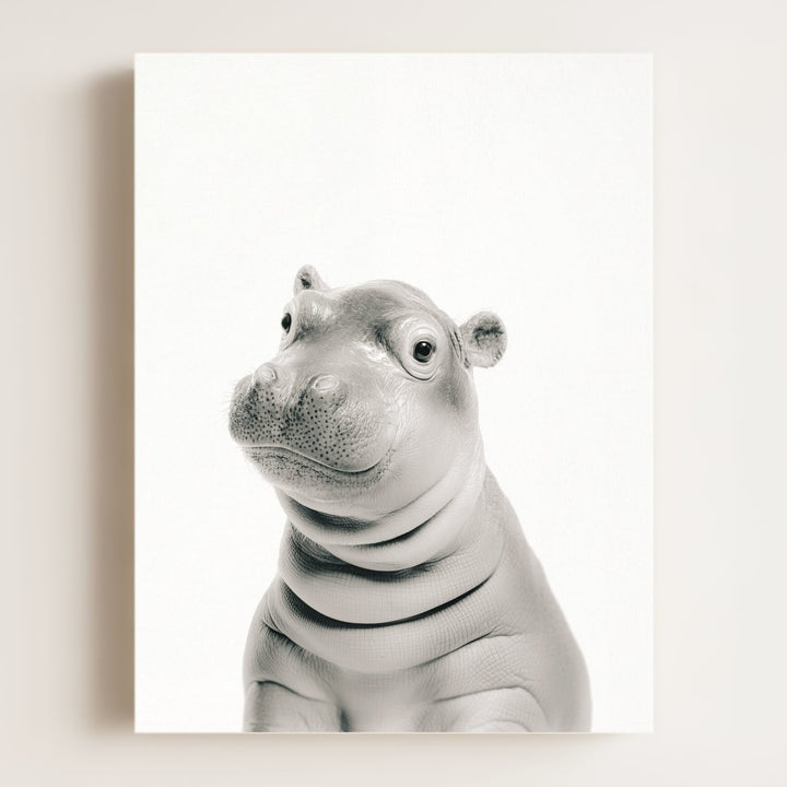 Baby Hippo