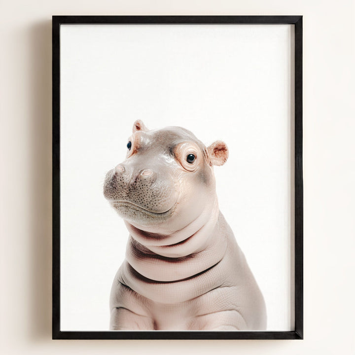 Baby Hippo