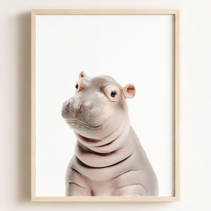 Baby Hippo