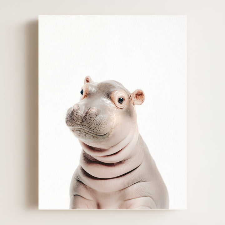 Baby Hippo