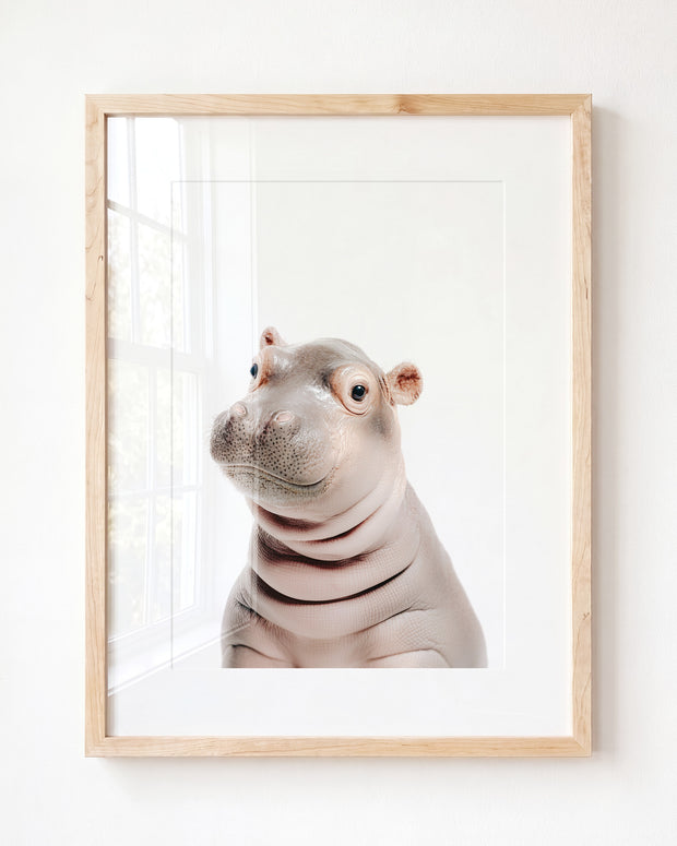 Baby Hippo