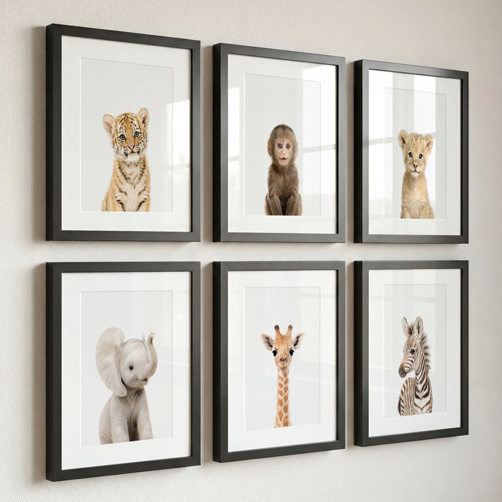Baby Jungle & Safari Animals Set of 6 Nursery Decor Prints