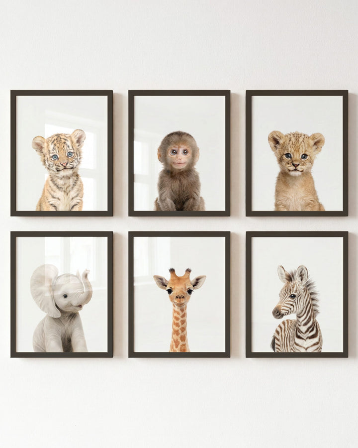 Baby Jungle & Safari Animals Set of 6 Nursery Decor Prints