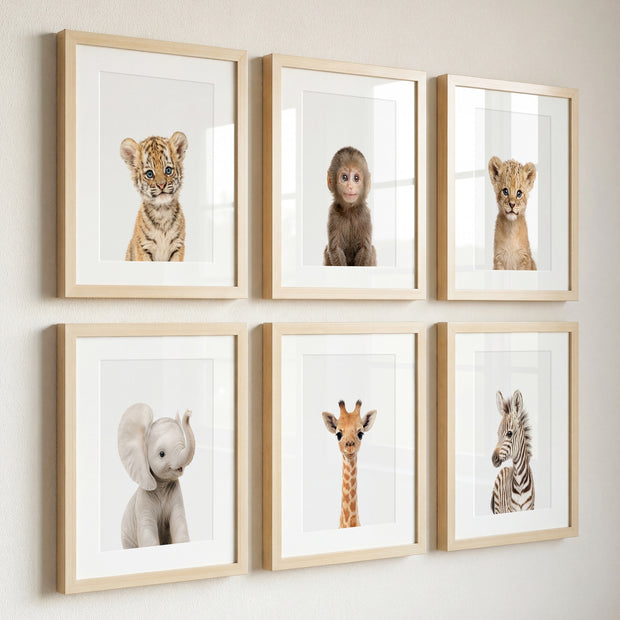 Baby Jungle & Safari Animals Set of 6 Nursery Decor Prints